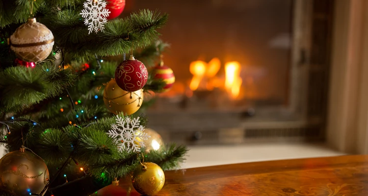Fröhliche Weihnachtsfeiertage wünscht das gesamte GUSTOREICH-Team!